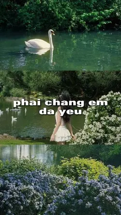 phải chăng e đã yêu