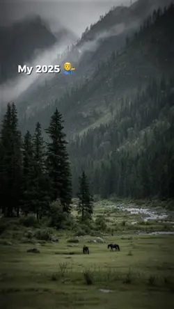 MY 2025