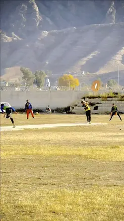 Cricket Best Edit