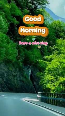 Good Morning 