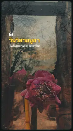 วันวิสาขบูชา | Vesak
