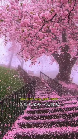天堂一定很美