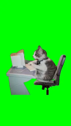 Cat Working