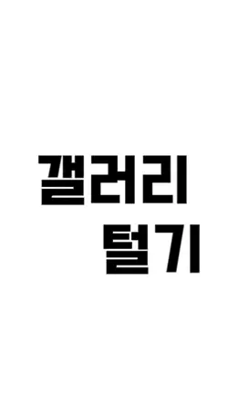갤러리 털기