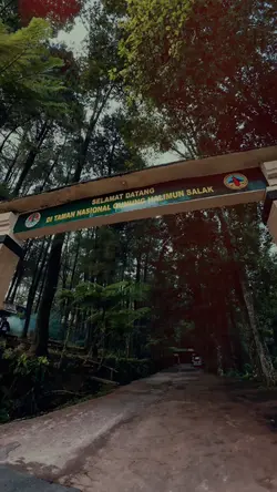 sabotase diri bukan 