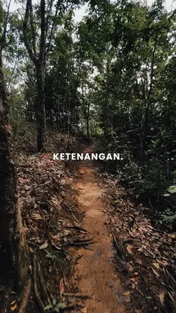 Jalur pendaki