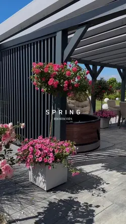 spring