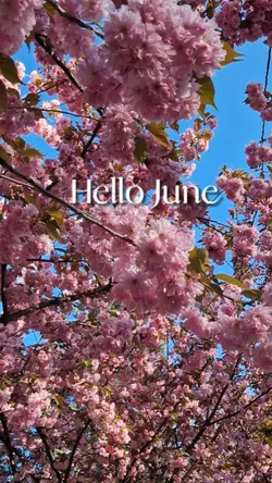 Hello June