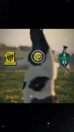 جيسوس للتروض ☠️🔥.