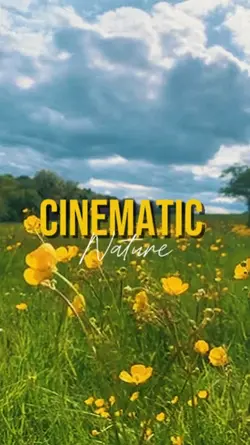 Cinematic