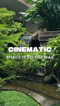 Shake it Cinematic