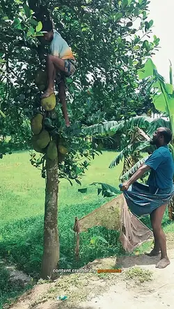 REACTION FUNNY VIDEO