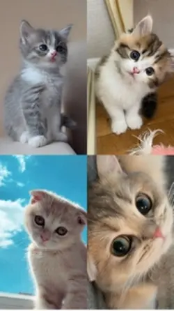 Yeni şablon geldi 🥰🥰