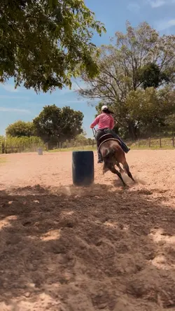 Country - agro 