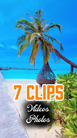 7 TEMPLATES 