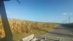 Going home without u