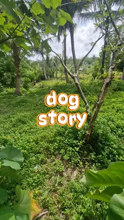 dog story