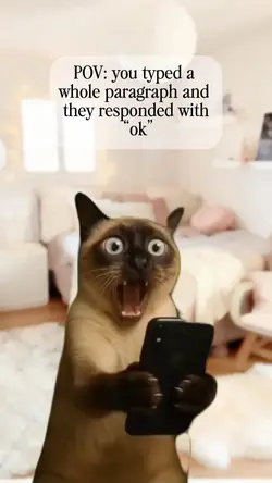 Cat screaming 
