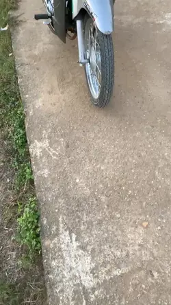 1 ảnh + màu