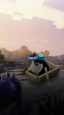 NOMIROR