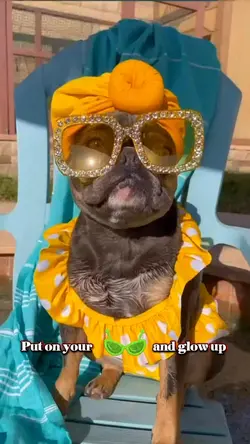 Sunglasses Glow