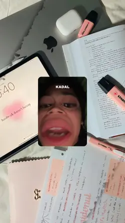 VER MIRROR KADAL