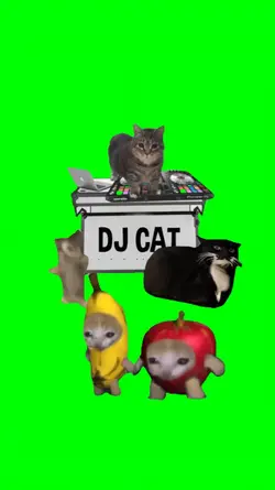 DJ CAT