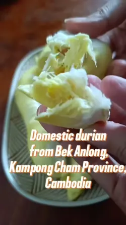 Khmer durian