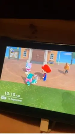 Animal Crossing