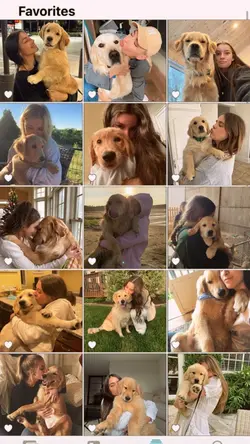 Dog bestfriend