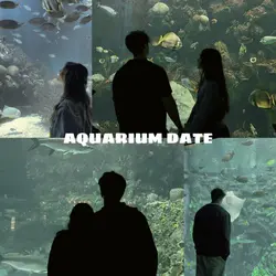 AQUARIUM DATE