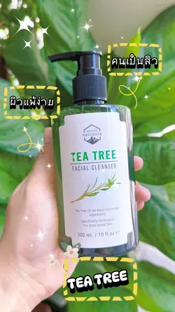 TeaTree