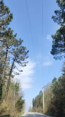 minicik vlog 
