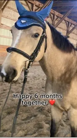 6 months together ❤️