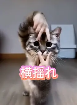 横揺れ(＾∇＾≡＾∇＾)