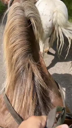 NAME TRENDDDDD🤪🫶🏻