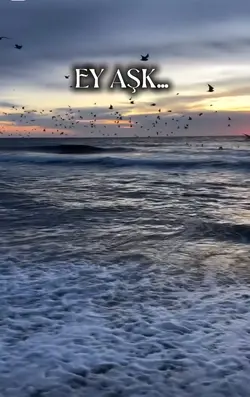 Ey Aşk!! 
