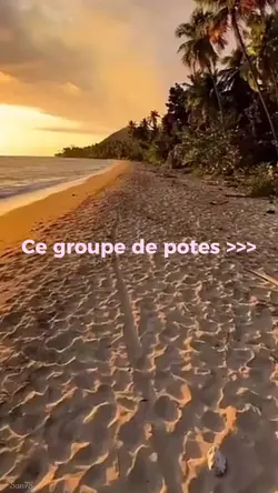 Ce groupe de potes 