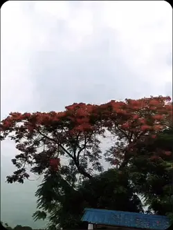 হতাশ হবেন না।

