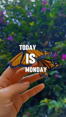 Today is Monday God