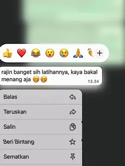 VERSI NO MIRROR