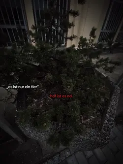 tier.