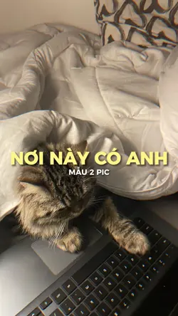 NƠI NÀY CÓ ANH