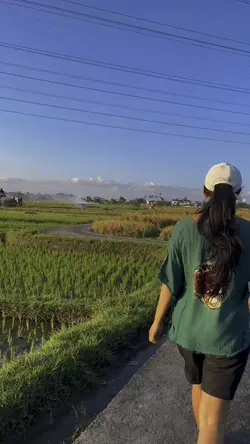 View Sawah estetik