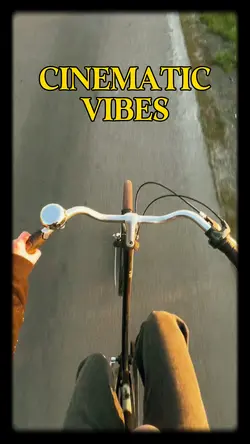 Cinematic Vibes