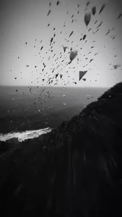 S I L E N C E 