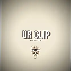 Skull Face Edit 1:1