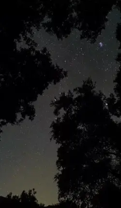 be Arlight