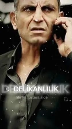 EFSANE