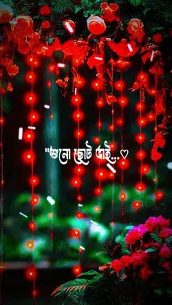 শোনো ছোট ভাই 